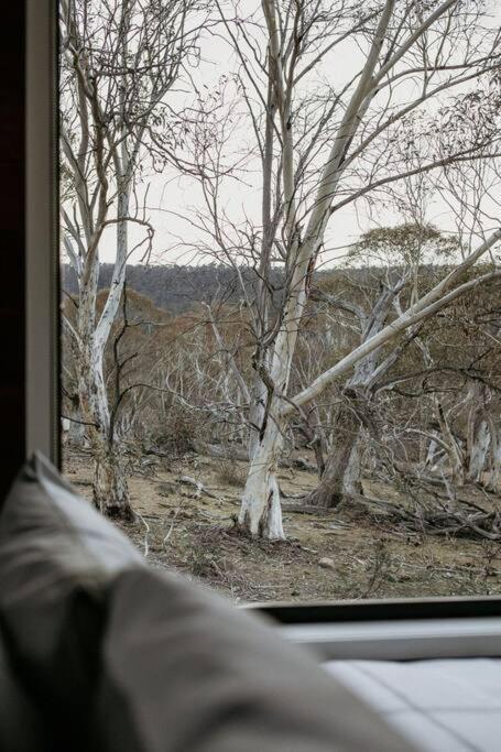 Big Yard Escapes - Two Off-Grid Tiny Houses On The Mowamba River Jindabyne Exterior foto